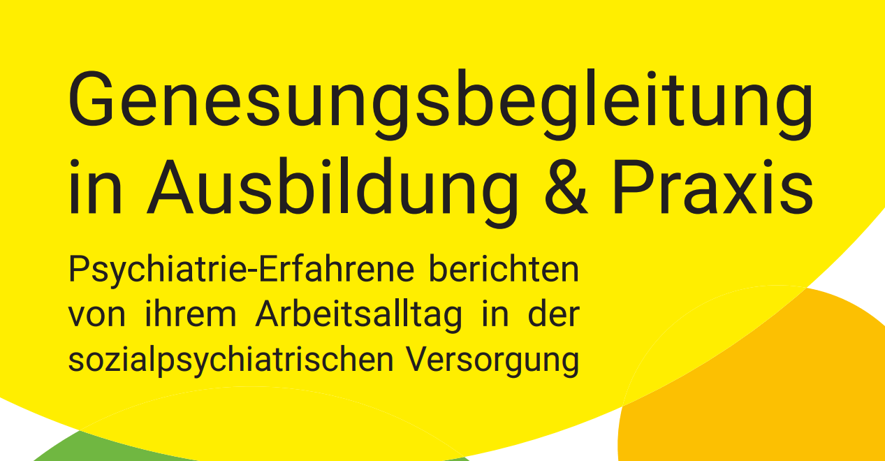 Genesungsbegleitung in Ausbildung und Praxis - Psychiatrie-Erfahrene berichten von ihrem Arbeitsalltag in der sozialpsychiatrischen Versorgung